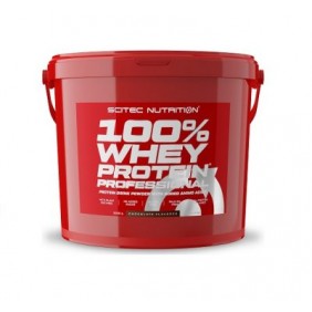 100% Whey Protein Professional Scitec 5 kg